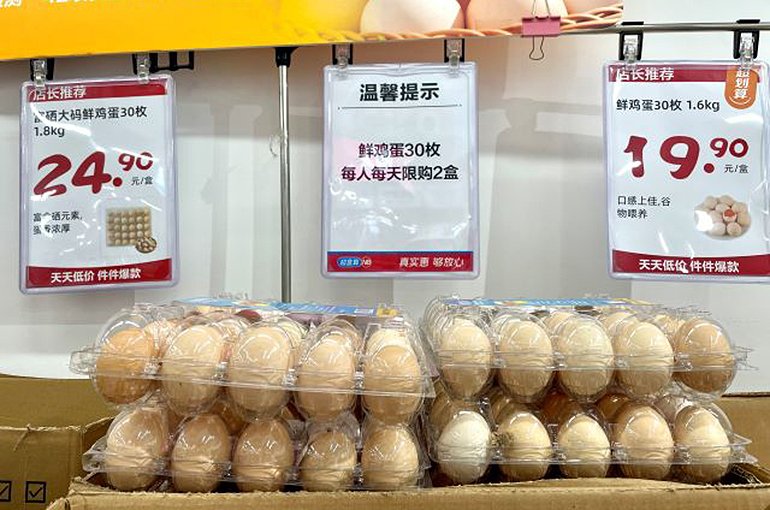 China Egg Prices Surge Again in August After 10-Year High in June