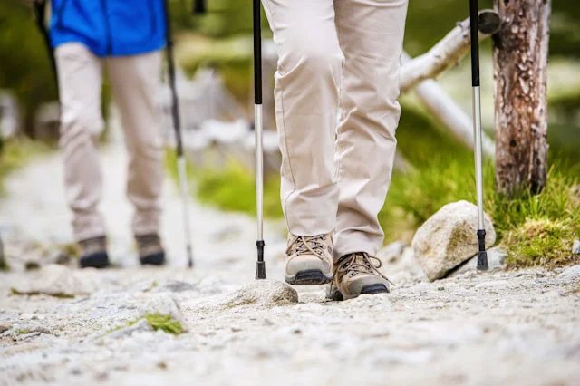 Insights from Eight Months of Tracking on Healthy Aging