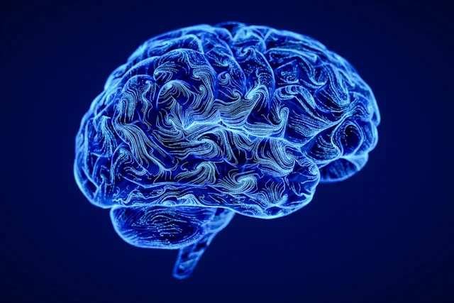 Scientists Reveal Brain’s Surprising Role in Metformin Action