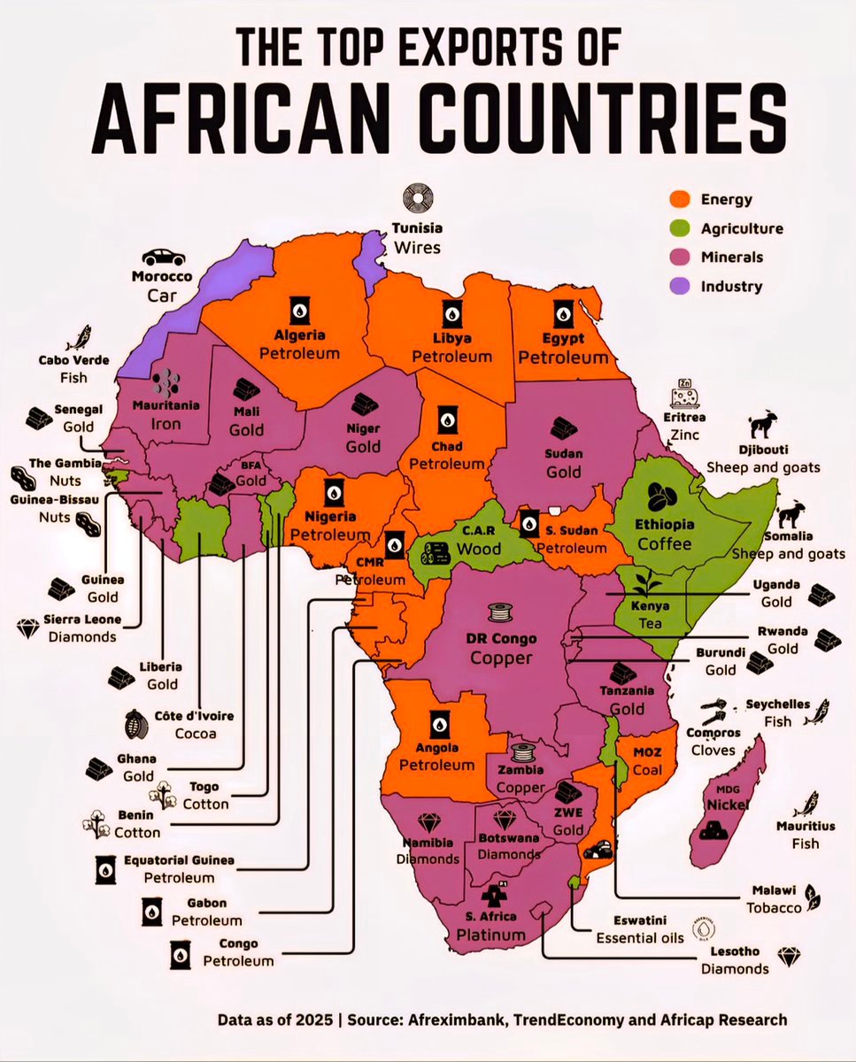 The Top Exports of African Countries

 Algeria - Petroleum
 Angola - Petroleum