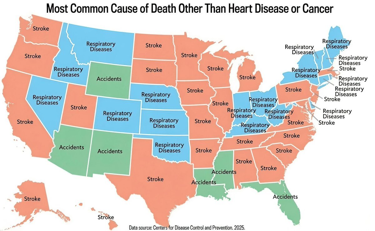 Most Common Cause of Death Other Than Heart Disease or Cancer in U.S. State