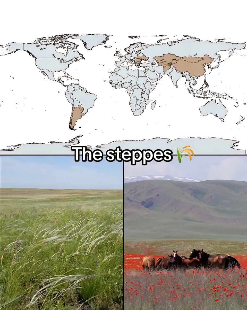 Countries Covered by the Steppes
