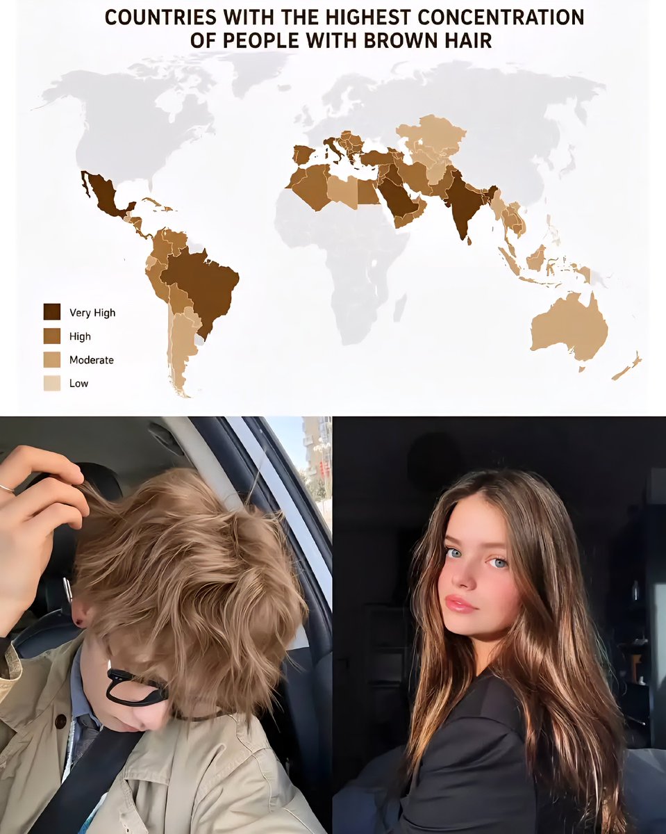 Countries With The Highest Concentration Of People With Brown Hair