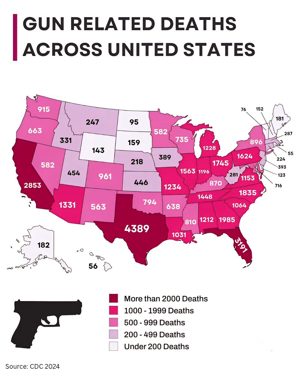 Top States with the Highest Gun-Related Deaths in the United States