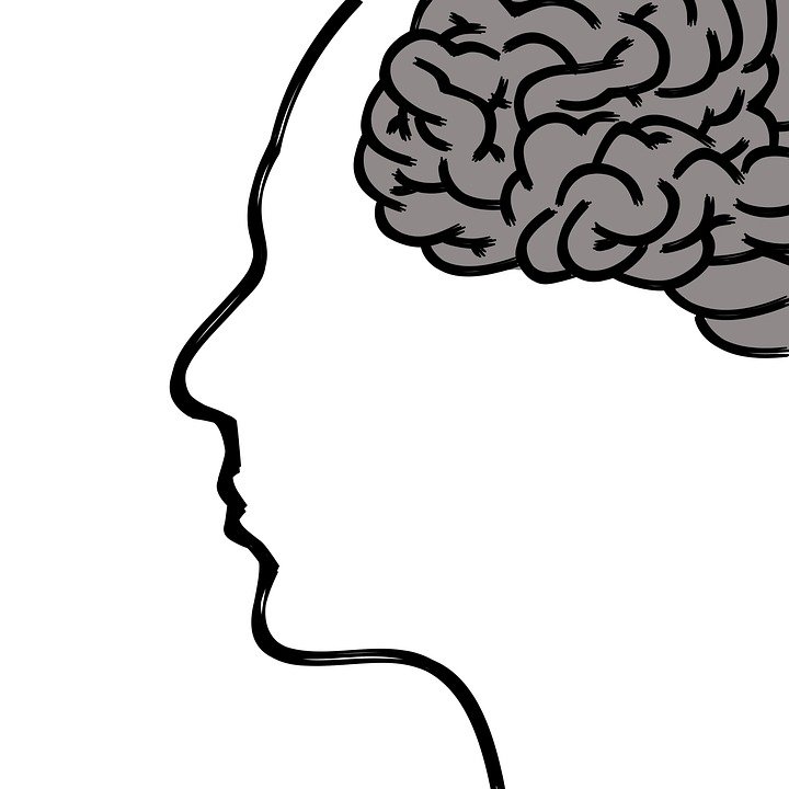 head 1965667 960 720.jpg