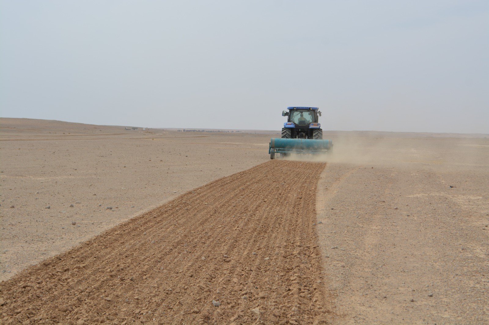 جريدة الرياض: مبادرة لنثر البذور وجمع مياه الأمطار في أعيوج لينة
